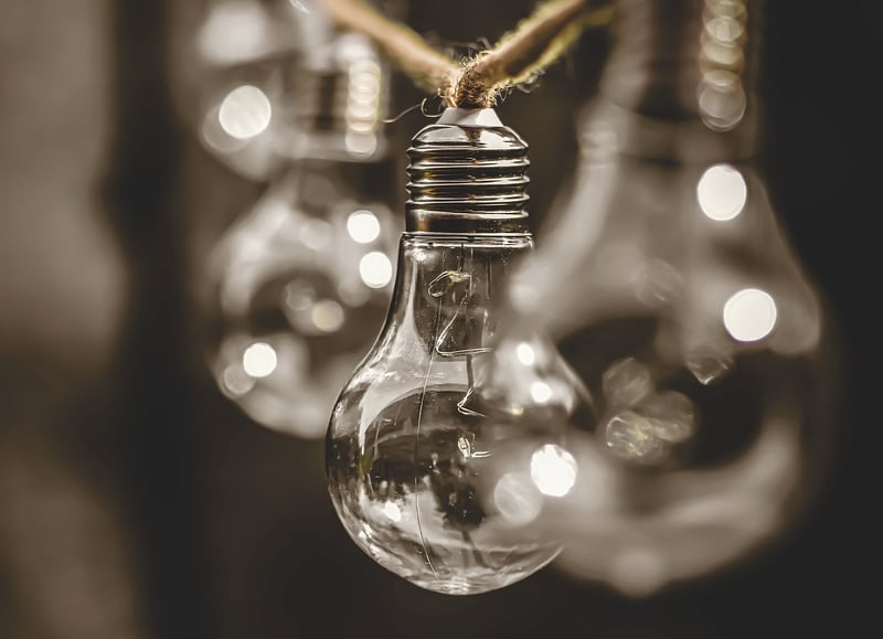 Sustainability News